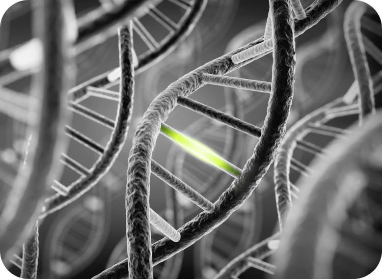 Mutagenesis